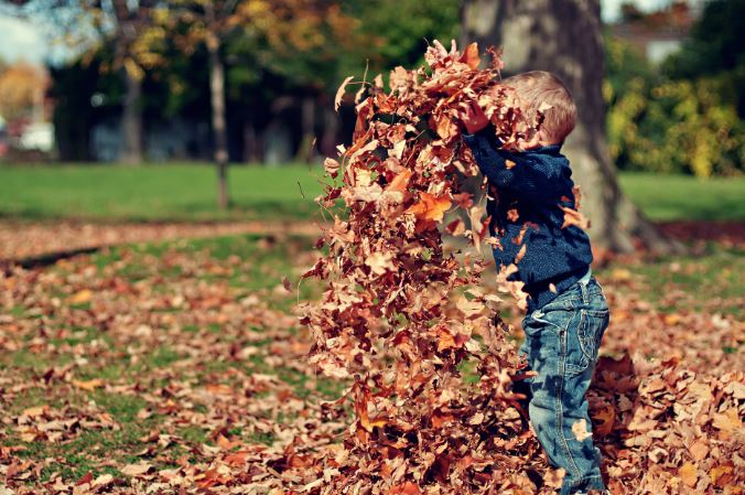 Llega el otoño repleto de descuentos a Mobikids.es