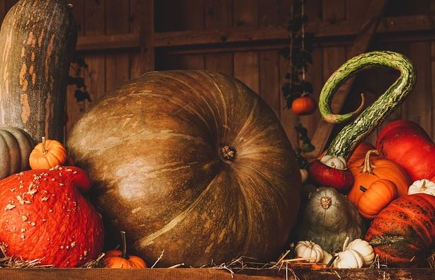 Halloween para niños